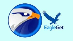 EagleGet 2.1.6.80 Crack Con Clave De Serie 2022